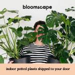 Bloomscape Coupons & Discount Codes