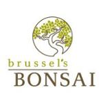 Brussel's Bonsai Coupons, Promo Codes
