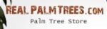 RealPalmTrees.com