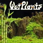 Wetplants Coupons & Discount Codes